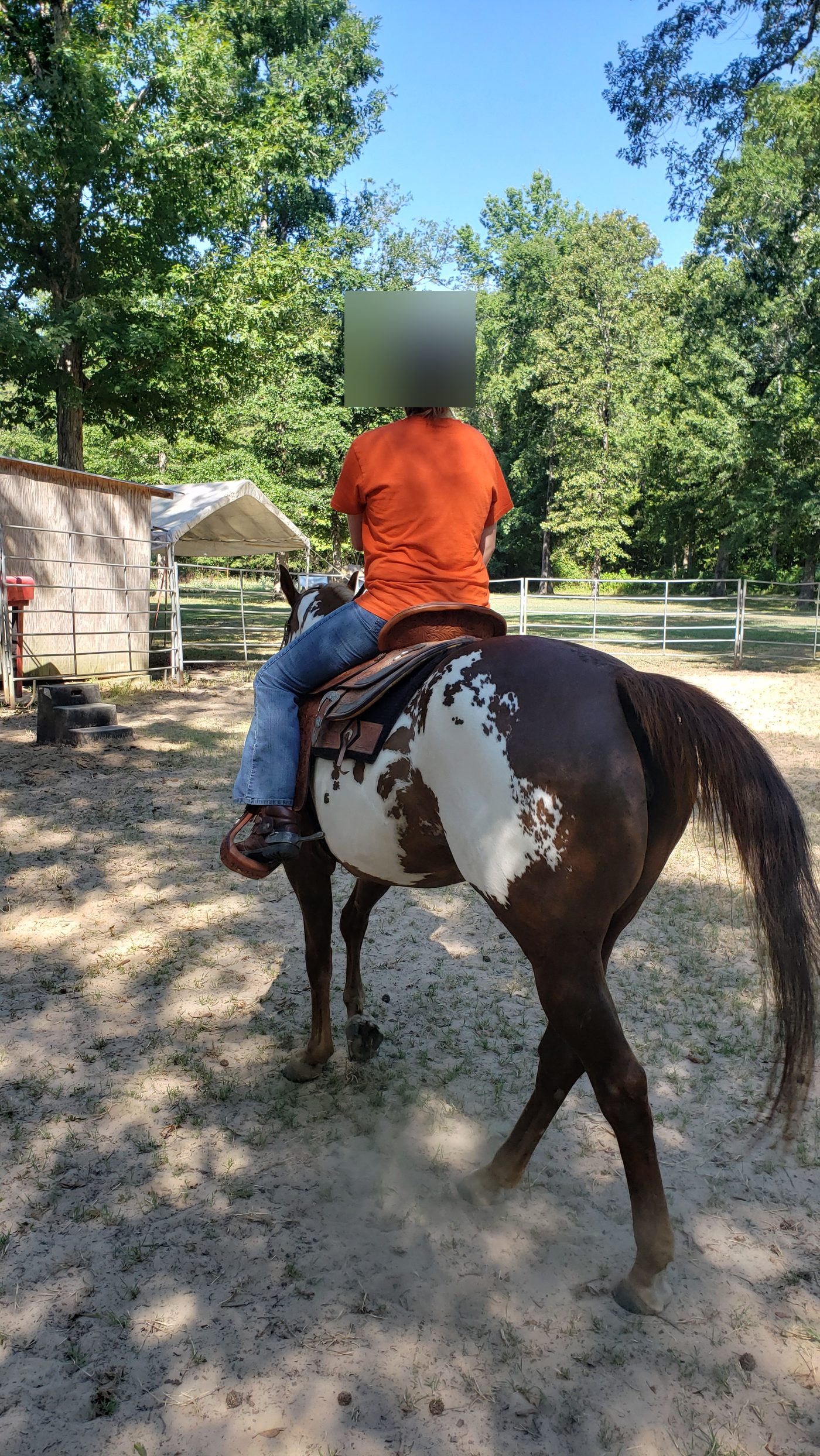 Equine therapy session at SWAT Church — child riding Hope (identity protected)