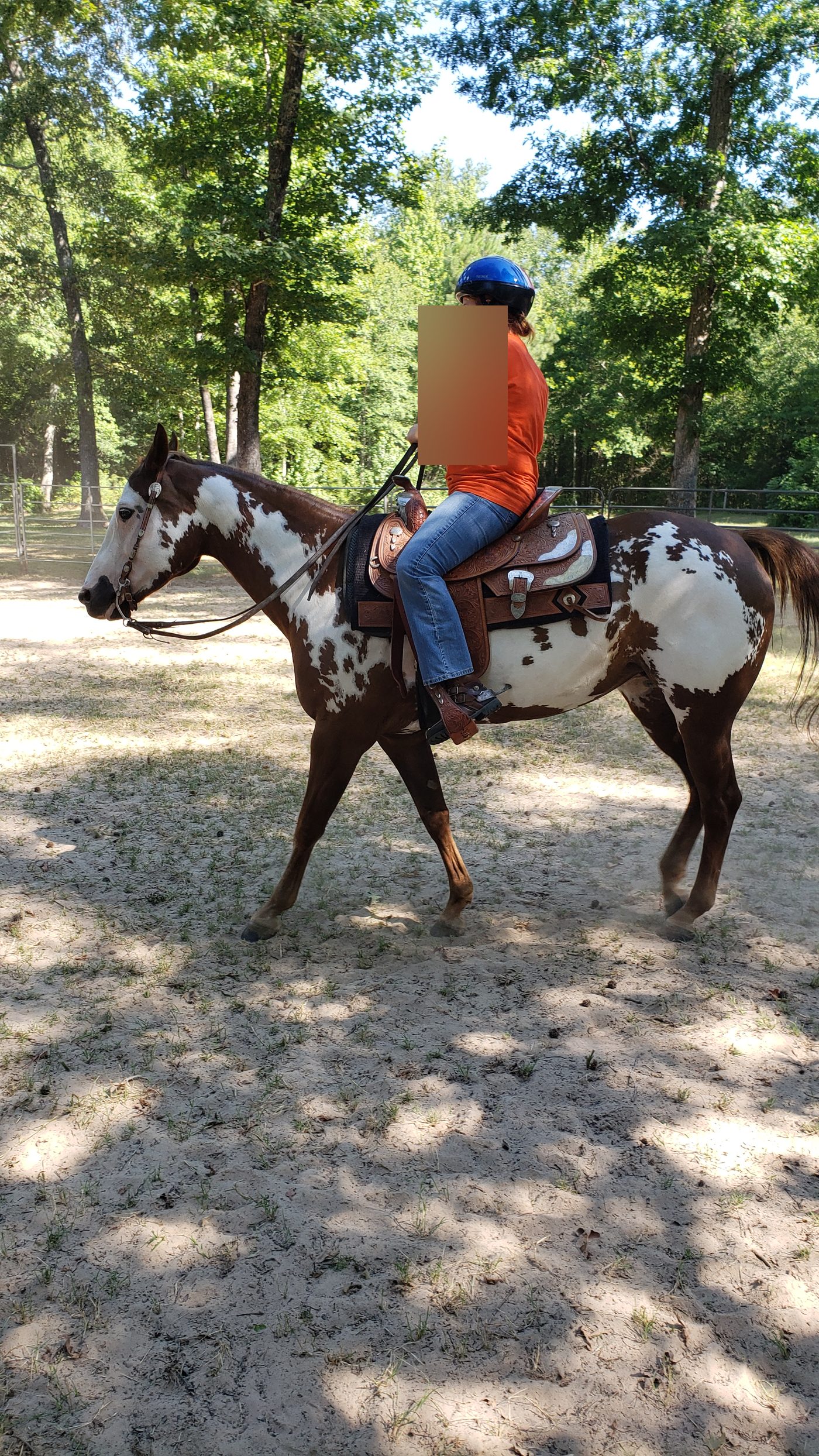 Equine therapy at SWAT Church — child mounted on Hope (identity protected)