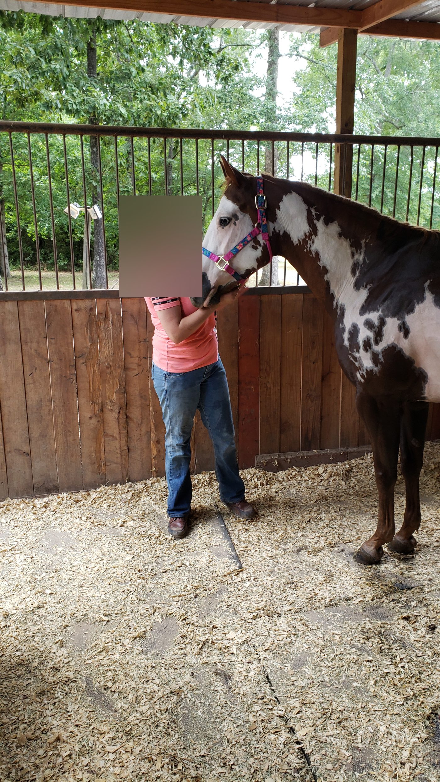 Bonding session in the stable (identity protected)