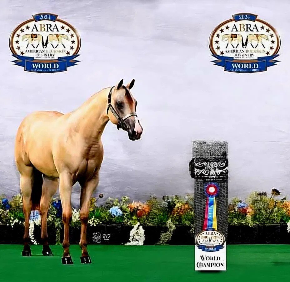 HR Alexandra (Ally) — 2024 World Champion Halter Mare title presentation with championship rosette and trophy